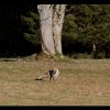 20130414_0185